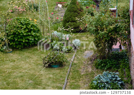Lush garden filled with vibrant flowers and greenery in a tranquil outdoor setting during a sunny afternoon 129737138