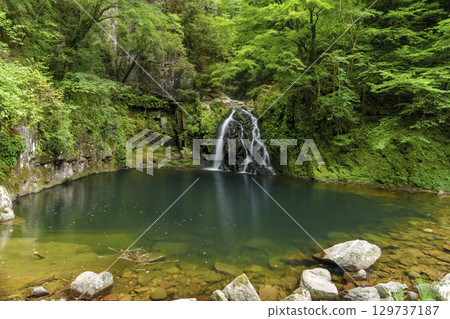 千住塔基紅色神社八瀑布 129737187