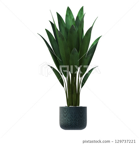 decorative flower in a pot isolate on a transparent background, 3D illustration, cg render decorative flower in a pot isolate on a transparent background, 3D illustration, cg render 129737221