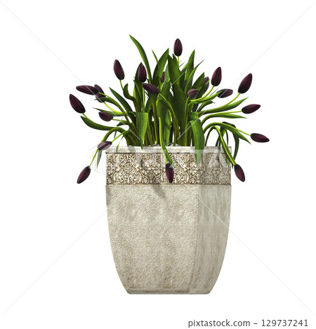 decorative flower in a pot isolate on a transparent background, 3D illustration, cg render 129737241