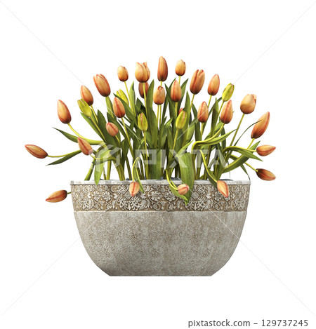 decorative flower in a pot isolate on a transparent background, 3D illustration, cg render decorative flower in a pot isolate on a transparent background, 3D illustration, cg render 129737245