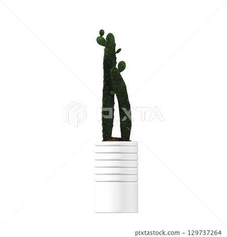 decorative flower in a pot isolate on a transparent background, 3D illustration, cg render decorative flower in a pot isolate on a transparent background, 3D illustration, cg render 129737264