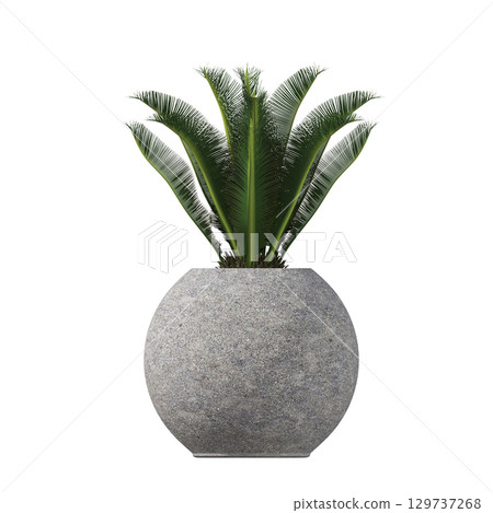 decorative flower in a pot isolate on a transparent background, 3D illustration, cg render 129737268