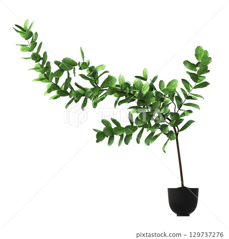 decorative flower in a pot isolate on a transparent background, 3D illustration, cg render decorative flower in a pot isolate on a transparent background, 3D illustration, cg render 129737276
