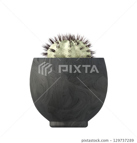 decorative flower in a pot isolate on a transparent background, 3D illustration, cg render 129737289