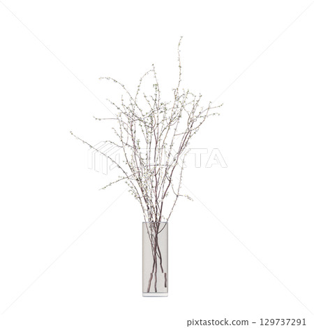 decorative flower in a pot isolate on a transparent background, 3D illustration, cg render 129737291