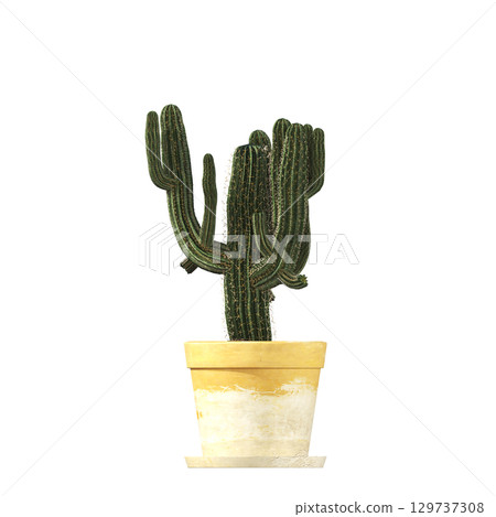 decorative flower in a pot isolate on a transparent background, 3D illustration, cg render 129737308