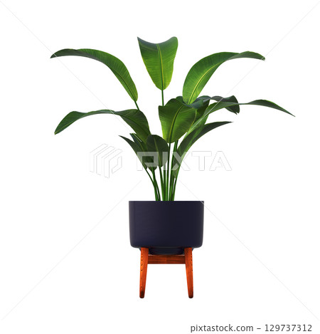 decorative flower in a pot isolate on a transparent background, 3D illustration, cg render decorative flower in a pot isolate on a transparent background, 3D illustration, cg render 129737312