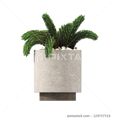 decorative flower in a pot isolate on a transparent background, 3D illustration, cg render 129737318