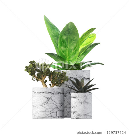 decorative flower in a pot isolate on a transparent background, 3D illustration, cg render 129737324