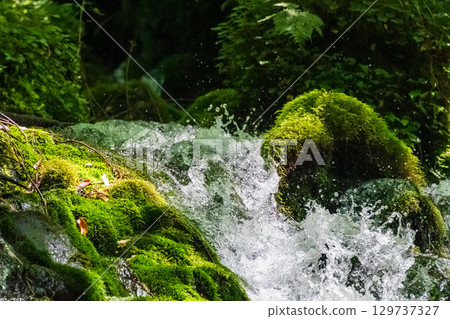 Underground water springing from moss-covered rocks Underground water springing from moss-covered rocks 129737327