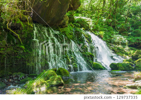 A waterfall surrounded by greenery, with spring water constantly flowing out 129737335