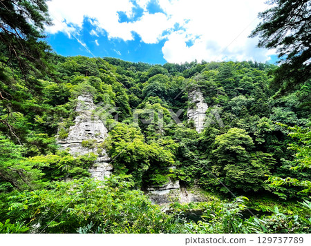 陽光明媚的夏天,殿野的綠色美景 1 陽光明媚的夏天,殿野的綠色美景 1 129737789