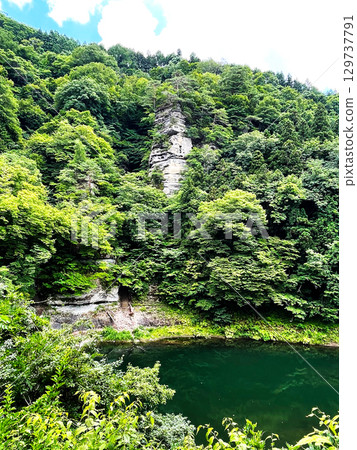 陽光明媚的夏天，殿野的綠色美景 3 129737791