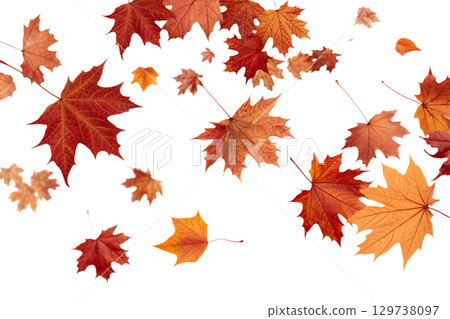 Falling autumn leaves, seasonal transition concept with transparent png overlay 129738097