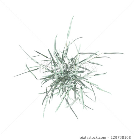 wild field grass, top view, isolated on a transparent background, 3D illustration, cg render 129738108