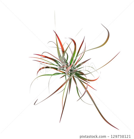 wild field grass, top view, isolated on a transparent background, 3D illustration, cg render 129738121