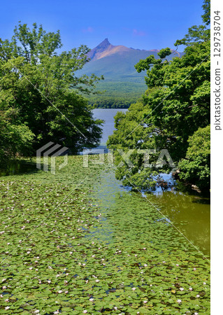 蓮花、大沼湖、駒岳－從大沼湖環路（北海道七飯町）出發 129738704