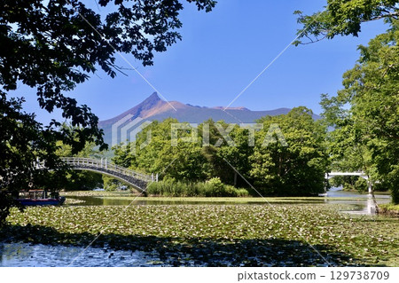 蓮花、大沼湖、駒岳-從大沼湖環路(北海道七飯町)出發 蓮花、大沼湖、駒岳-從大沼湖環路(北海道七飯町)出發 129738709