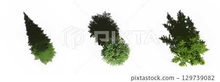 tree with a shadow under it, top view, isolate on a transparent background, 3d illustration 129739082