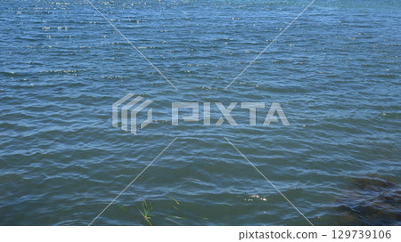 海面 129739106