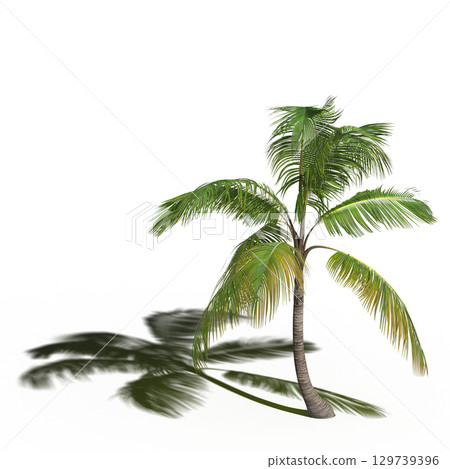 large tree with a shadow under it, isolated on a transparent background, 3D illustration, cg render large tree with a shadow under it, isolated on a transparent background, 3D illustration, cg render 129739396