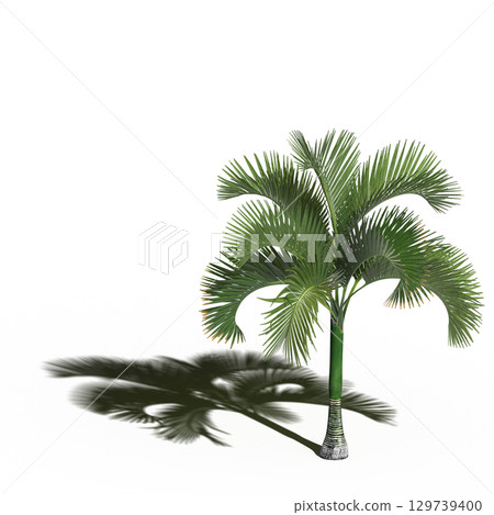 large tree with a shadow under it, isolated on a transparent background, 3D illustration, cg render large tree with a shadow under it, isolated on a transparent background, 3D illustration, cg render 129739400