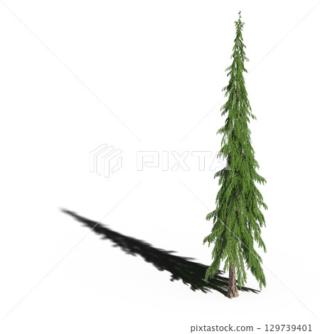large tree with a shadow under it, isolated on a transparent background, 3D illustration, cg render large tree with a shadow under it, isolated on a transparent background, 3D illustration, cg render 129739401