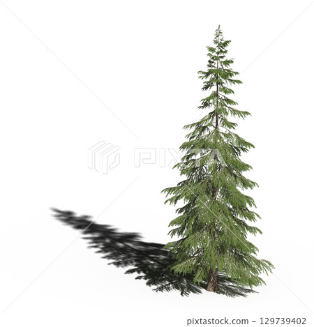 large tree with a shadow under it, isolated on a transparent background, 3D illustration, cg render large tree with a shadow under it, isolated on a transparent background, 3D illustration, cg render 129739402