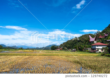 Traditional village with rice fields in Toraja, Sulawesi, Indonesia 129740272