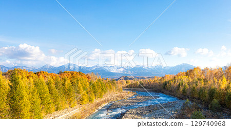 北海道美瑛的美瑛川和紅葉，清爽的秋天 129740968
