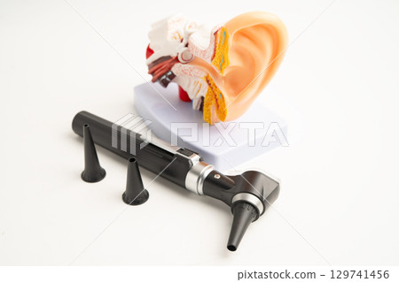 Otoscope with model for audiologist or ENT doctor use otoscope checking ear and treat hearing loss problem. 129741456