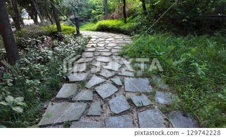 Aug 10 2025 Patterned Stone Pathway Embedded in Grass Captured 129742228