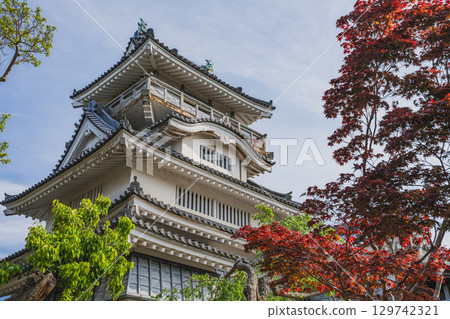 View of the ruins of Oyama Castle in Yoshida Town (Shizuoka Prefecture) View of the ruins of Oyama Castle in Yoshida Town (Shizuoka Prefecture) 129742321