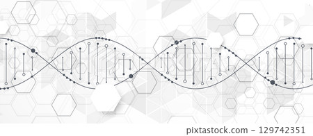 Abstract hexagon futuristic background for design works.Science template, wallpaper or banner with a DNA molecules. 129742351