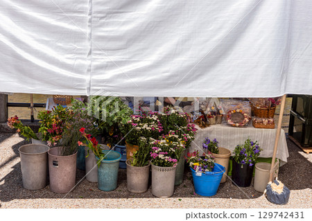 250726 Miyagawa Morning Market z051 250726 Miyagawa Morning Market z051 129742431