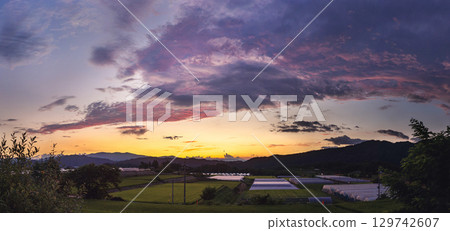 250726Uenodairaz145-151P 129742607