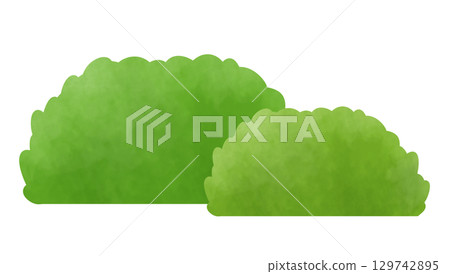 灌木叢插圖 灌木叢插圖 129742895