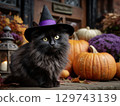 Black cat in a witch's hat and a pumpkin 129743139