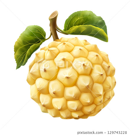 Cherimoya Fruit Vibrant Illustration of a Creamy Custard Apple On Transparent Background 129743228