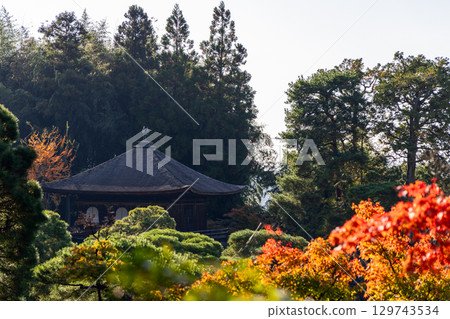 Traditional pagoda with colorful foliage in calm Japanese garden Traditional pagoda with colorful foliage in calm Japanese garden 129743534
