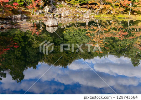 Autumn trees mirrored in calm Japanese garden pond 129743564