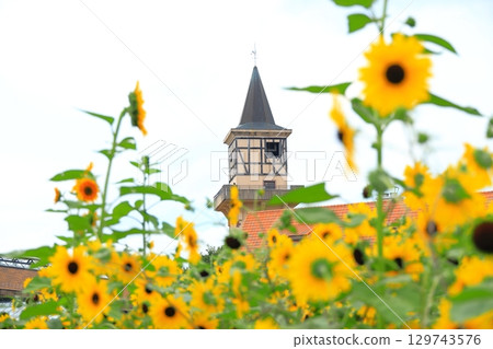 Village of Yamanashi Heidi 129743576