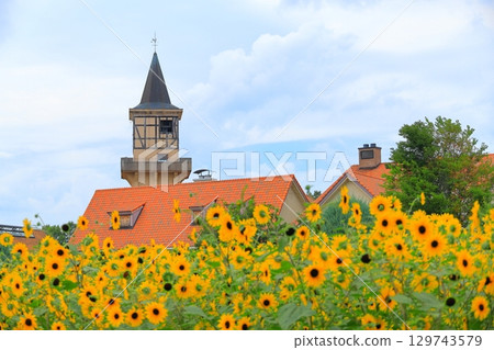 山梨海蒂村 129743579