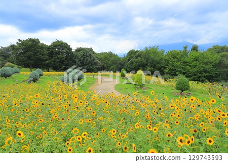 山梨海蒂村 129743593