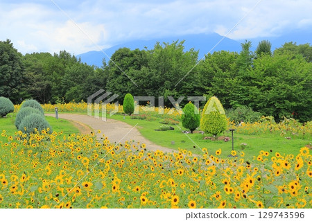 Village of Yamanashi Heidi 129743596