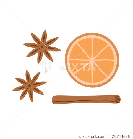 cinnamon and orange christmas spices isolated vector illustration 129743636