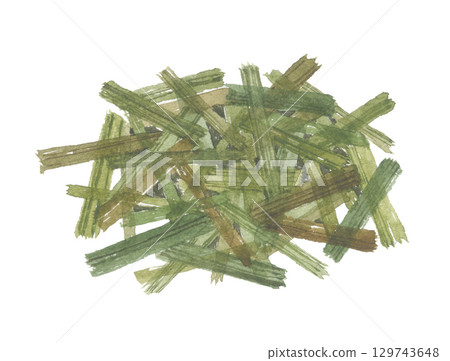 檸檬草水彩畫 129743648