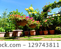 Under the blue summer sky, transform your roof balcony into a colorful tropical space 129743811