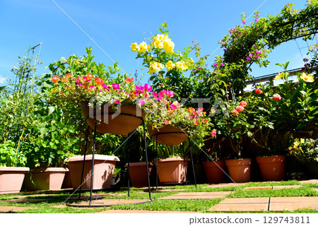 Under the blue summer sky, transform your roof balcony into a colorful tropical space 129743811